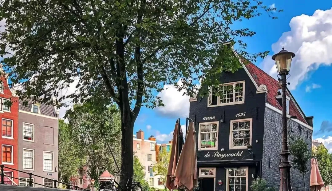 Netherlands劳动法指南