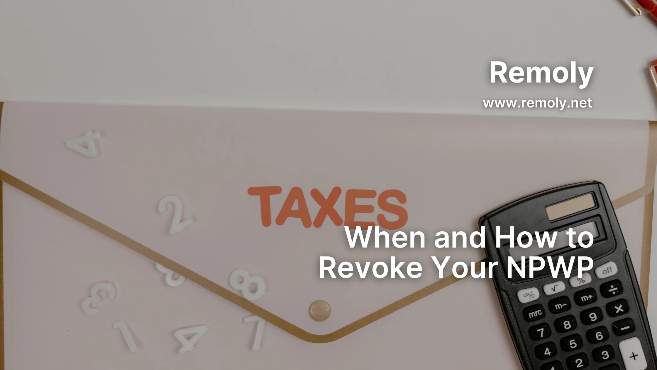When and How to Revoke Your NPWP