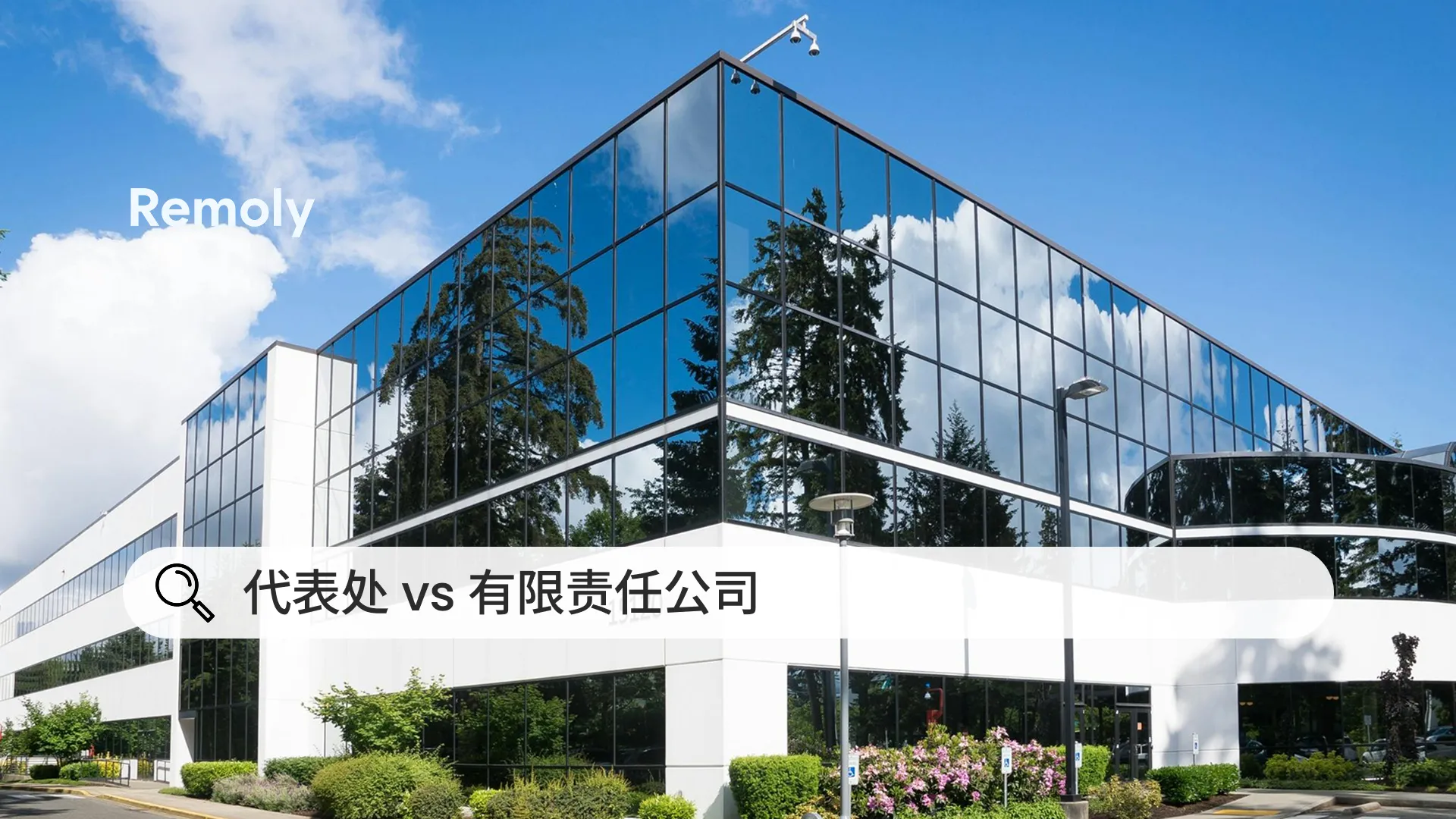 代表处和有限责任公司在越南有什么区别？一文帮你选对模式