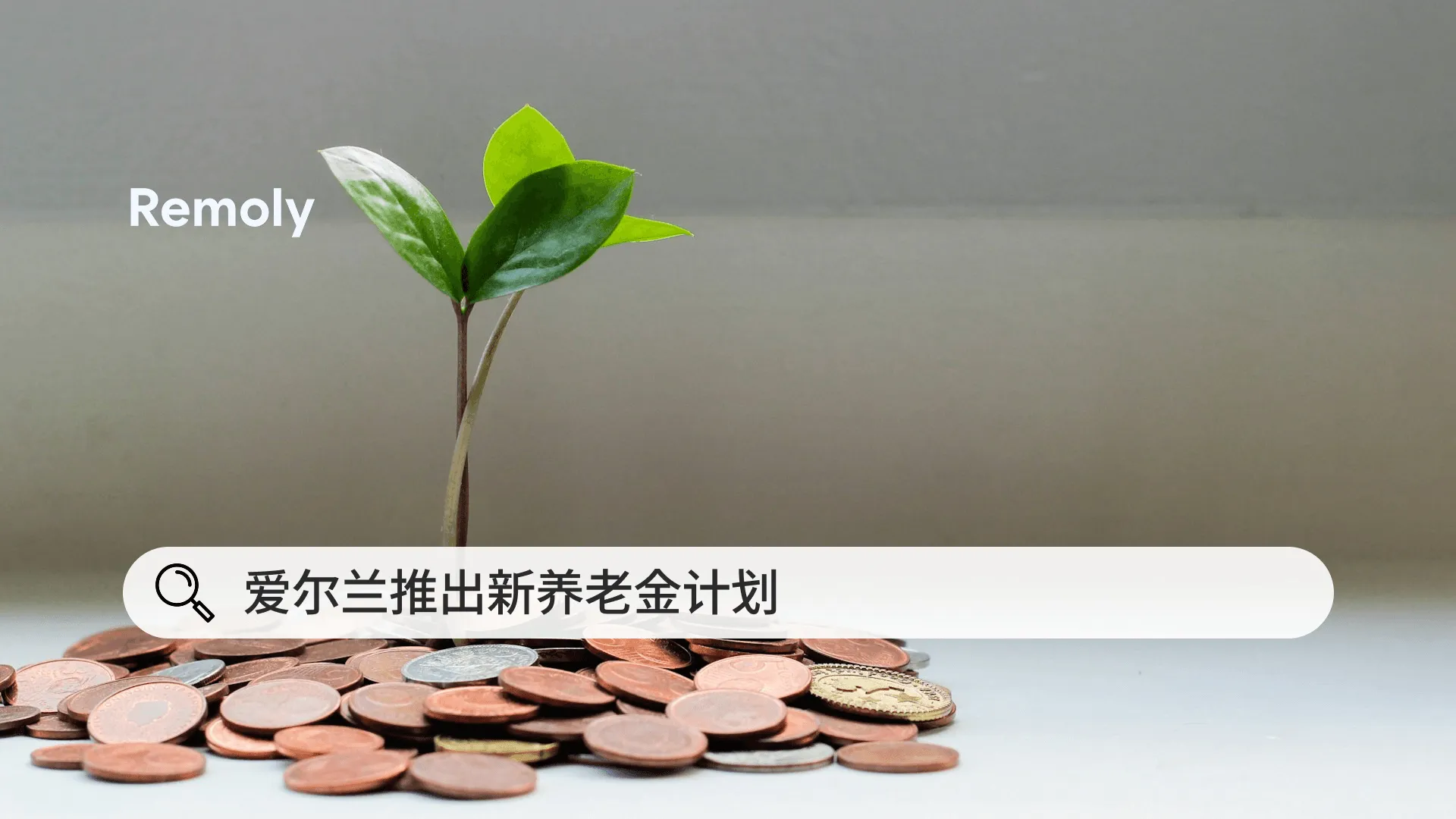 爱尔兰于2026年推出自动养老金储蓄计划